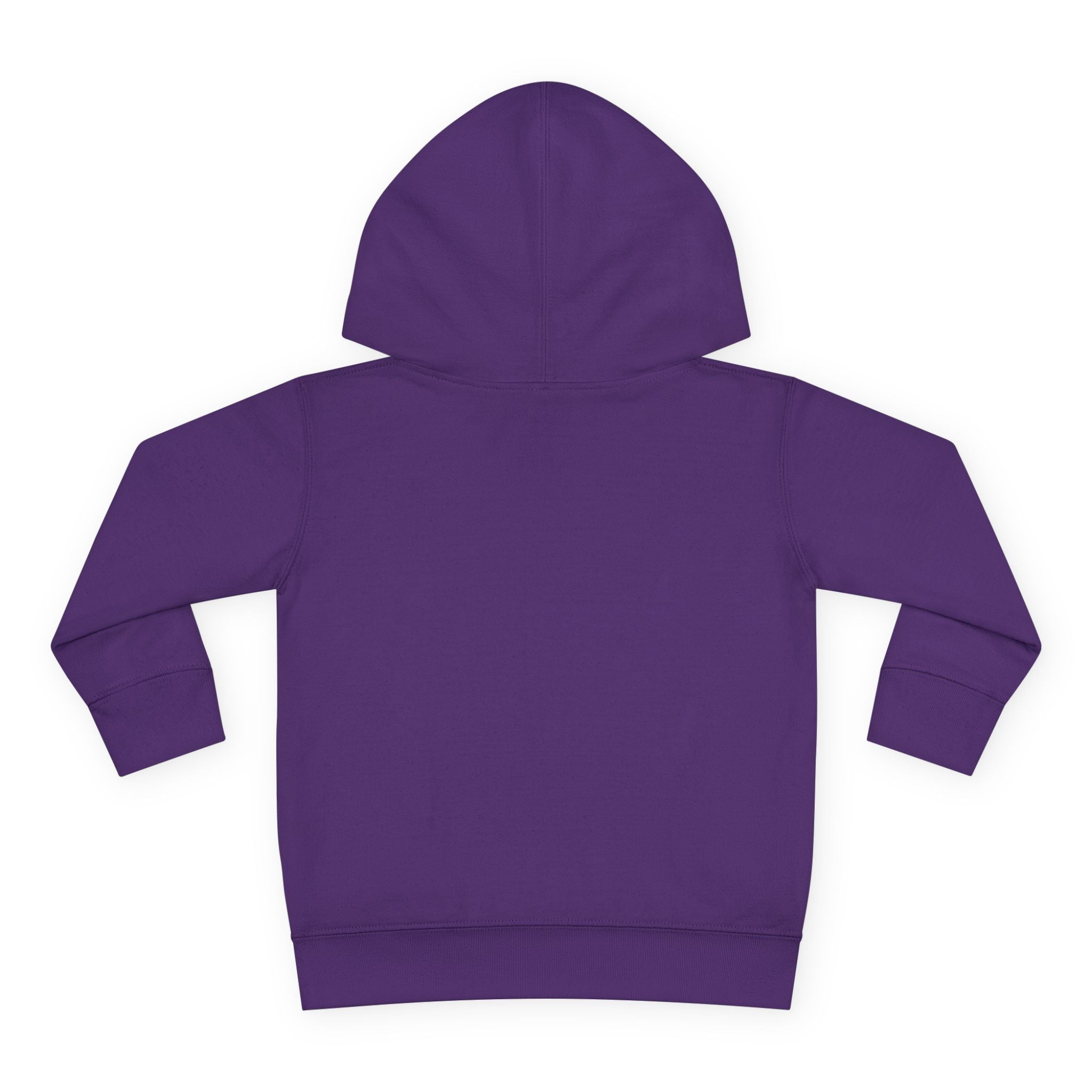 Toddler Hoodie — "Never Give Up" Inspirational Heart Print
