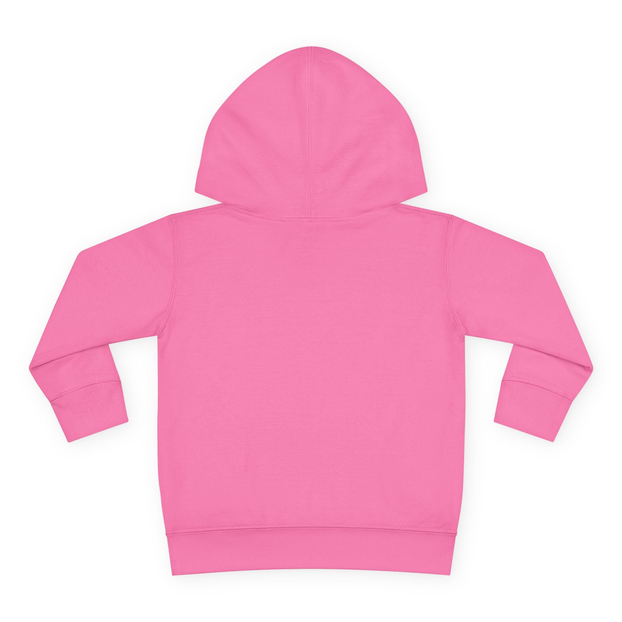 Toddler Hoodie — "Never Give Up" Inspirational Heart Print