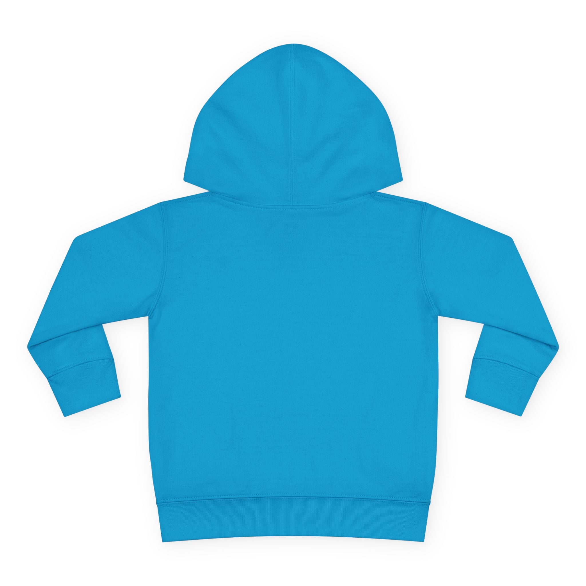 Toddler Hoodie — "Never Give Up" Inspirational Heart Print