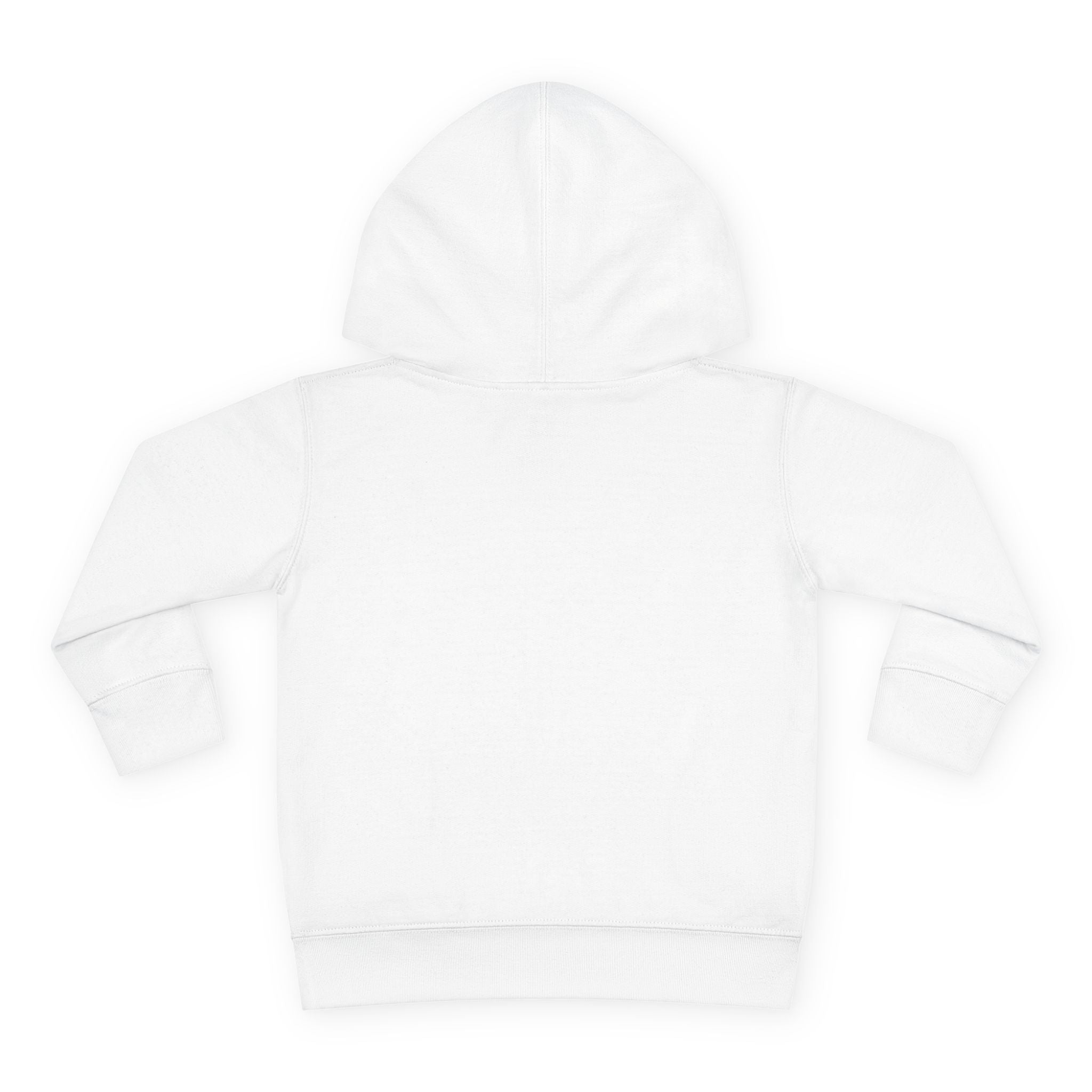 Toddler Hoodie — "Never Give Up" Inspirational Heart Print